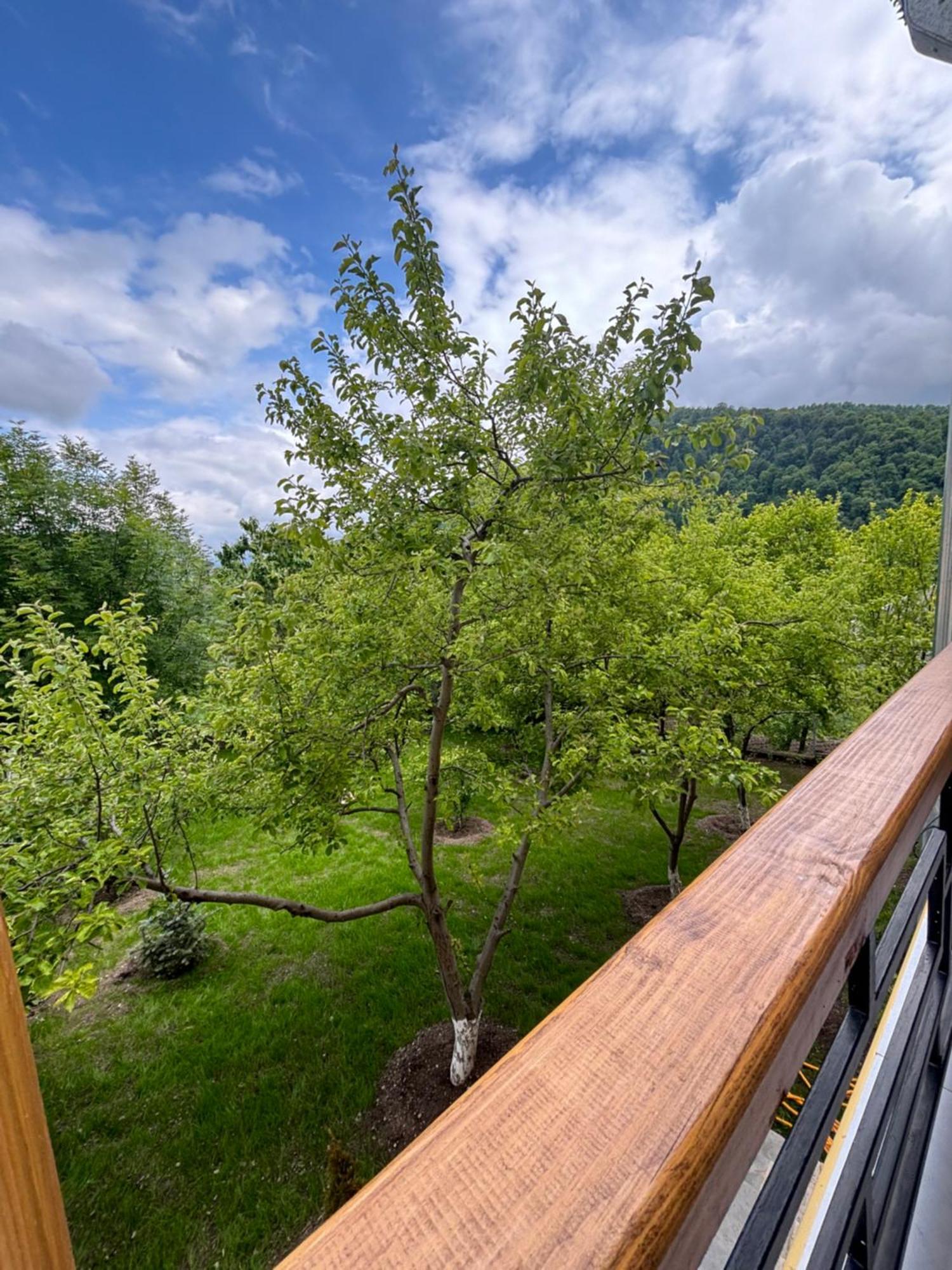 Restart Boutique Hotel Dilijan Exterior foto